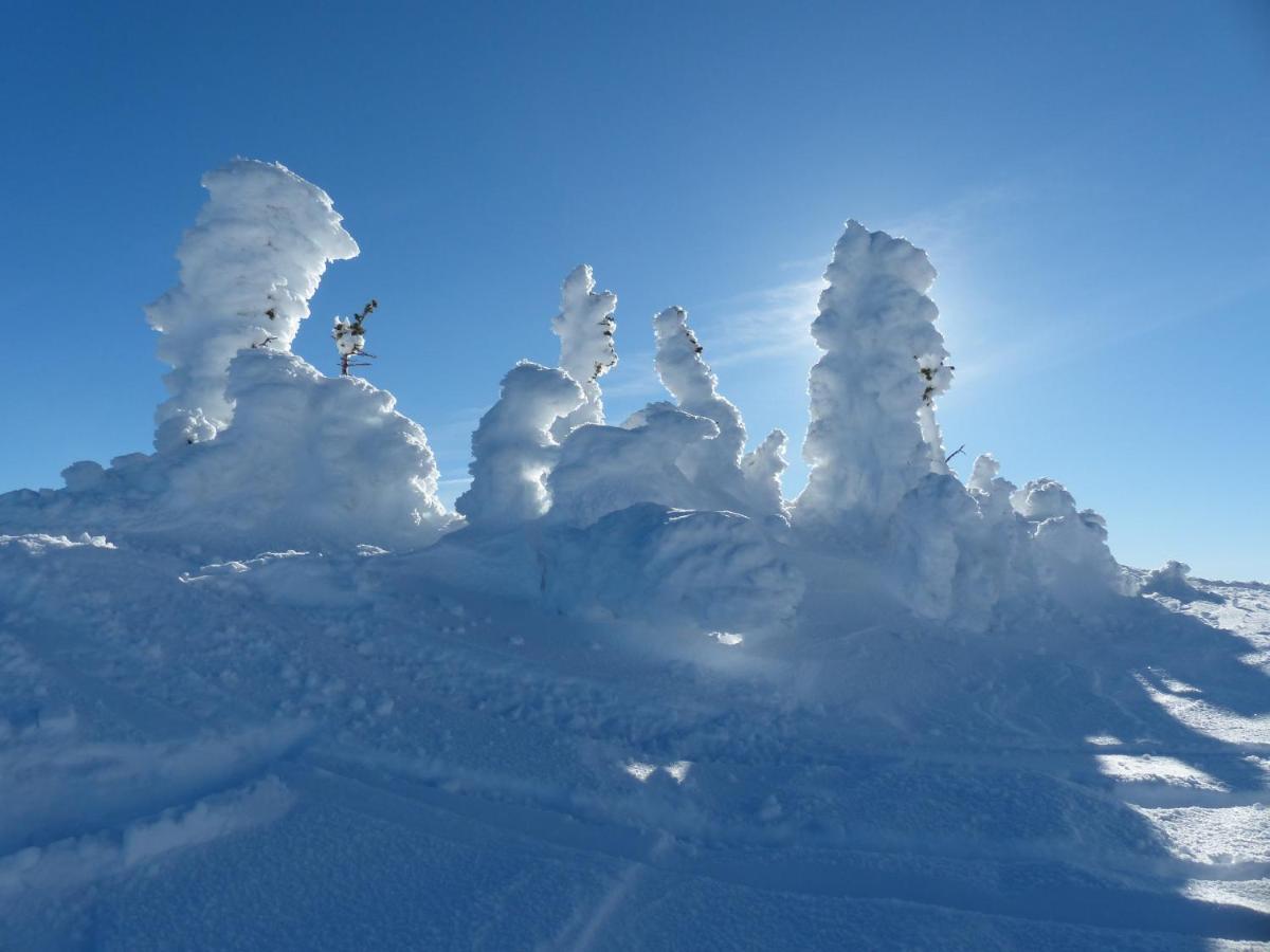 Chateau Big White المظهر الخارجي الصورة
